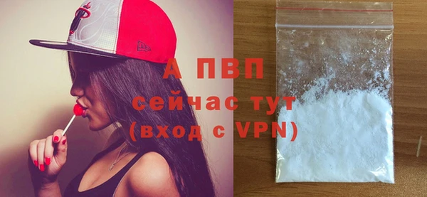 стаф Белокуриха