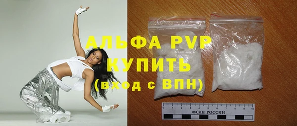 стаф Белокуриха