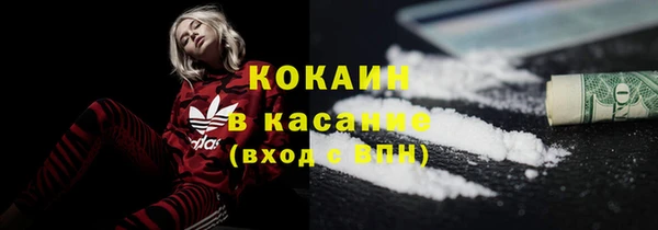 стаф Белокуриха