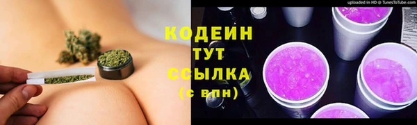 стаф Белокуриха